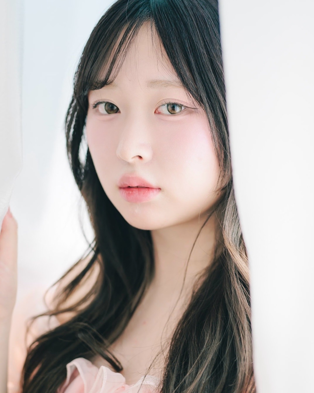 桜庭 ひな